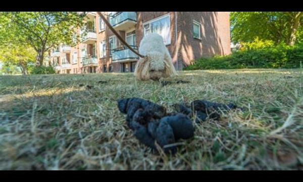 'Mijn bovenbuurvrouw gooit steeds hondenpoep van haar balkon, maar ze ontkent het'