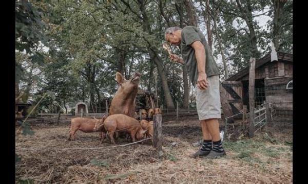 'Moderne varkens kloven naar de energietrog terwijl we allemaal piepen'