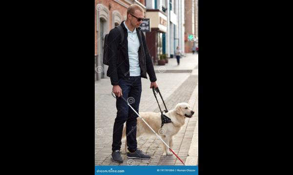 Blinde man wendt zich af van café omdat schattige geleidehond ‘te groot en donzig’ was