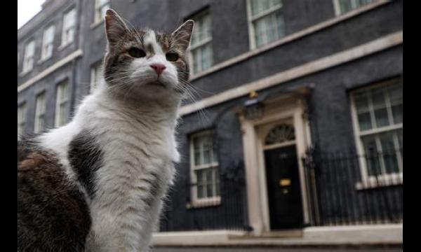 Boris Johnson is in zijn slottoespraak dol op zijn hond en Larry de Kat, maar noemt Carrie niet