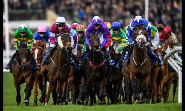 Cheltenham Festival 2020-jargon uitgelegd en termen die je misschien hoort tijdens de Gold Cup