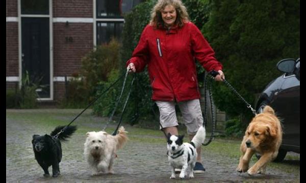 Coronavirus: 70-plussers mogen nog steeds hun hond uitlaten onder een massa-isolatieplan