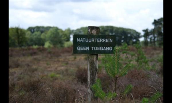 Dringende Halloween-waarschuwing voor Britten als ze groen spul uit stopcontacten zien sijpelen