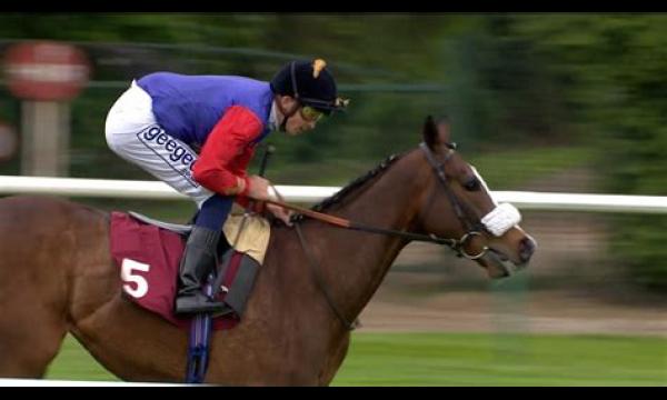 Queen's paard King's Lynn wint hoofdrace in Haydock Park, vóór Royal Ascot