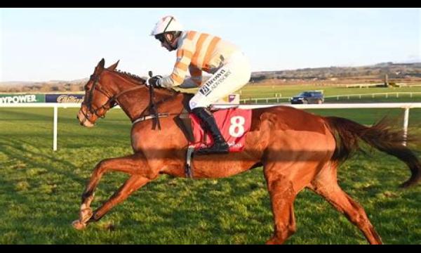 Willie Mullins' Cheltenham Festival favoriet Maughreen uitgesloten van Champion Bumper